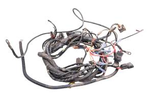 Arctic Cat - 02 Arctic Cat 500 4x4 FIS Auto Wire Harness Electrical Wiring - Image 1