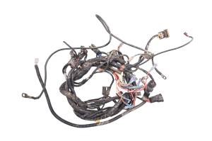 Arctic Cat - 02 Arctic Cat 500 4x4 FIS Auto Wire Harness Electrical Wiring - Image 2