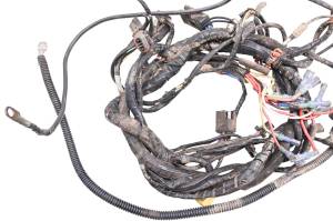 Arctic Cat - 02 Arctic Cat 500 4x4 FIS Auto Wire Harness Electrical Wiring - Image 6