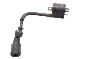 Arctic Cat - 02 Arctic Cat 500 4x4 FIS Auto Ignition Coil - Image 2