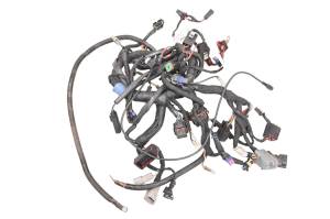 Ski-Doo - 17 Ski-Doo Freeride 800R ETEC Wire Harness Electrical Wiring 137" - Image 1