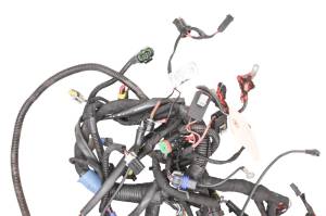 Ski-Doo - 17 Ski-Doo Freeride 800R ETEC Wire Harness Electrical Wiring 137" - Image 2