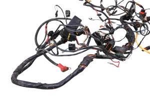 Arctic Cat - 05 Arctic Cat 650 V-Twin 4x4 Wire Harness Electrical Wiring - Image 2