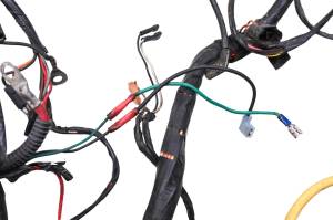 Arctic Cat - 05 Arctic Cat 650 V-Twin 4x4 Wire Harness Electrical Wiring - Image 5