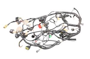 Kawasaki - 16 Kawasaki Ninja 300 Wire Harness Electrical Wiring EX300 - Image 1