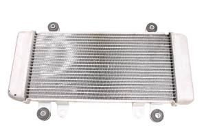 Kawasaki - 16 Kawasaki Ninja 300 Radiator EX300 - Image 1