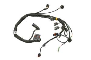 Can-Am - 22 Can-Am Ryker Rally 900 Engine Wire Harness Electrical Wiring - Image 1