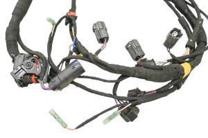 Can-Am - 22 Can-Am Ryker Rally 900 Engine Wire Harness Electrical Wiring - Image 2