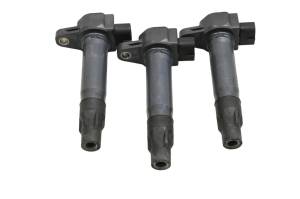 Can-Am - 22 Can-Am Ryker Rally 900 Ignition Coils - Image 1