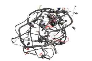 Can-Am - 22 Can-Am Ryker 600 ACE Wire Harness Electrical Wiring - Image 2