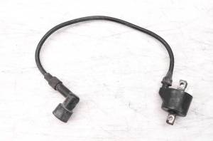 Polaris - 97 Polaris Trailblazer 250 2x4 Ignition Coil - Image 1