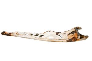 Polaris - 12 Polaris RZR 900 XP Rear Lower Left Trailing Arm - Image 3