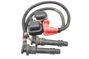 Polaris - 12 Polaris RZR 900 XP Ignition Coils - Image 1