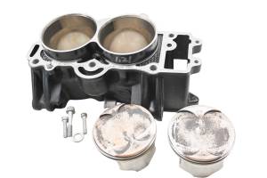 Kawasaki - 09 Kawasaki Versys 650 Cylinders & Pistons LE650A - Image 1