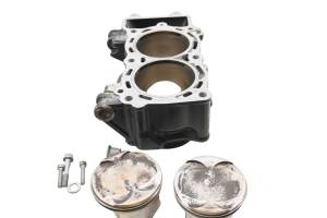 Kawasaki - 09 Kawasaki Versys 650 Cylinders & Pistons LE650A - Image 8