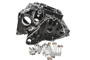 Kawasaki - 09 Kawasaki Versys 650 Crankcase Center Crank Case LE650A - Image 20