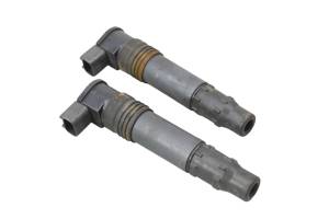 09 Kawasaki Versys 650 Ignition Coils LE650A