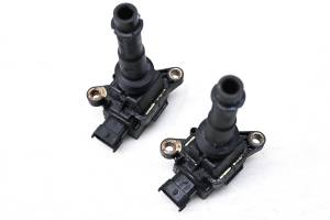 Polaris - 04 Polaris MSX 150 Ignition Coils - Image 5