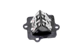 Polaris - 06 Polaris Sportsman 90 2x4 Reed Valve - Image 1