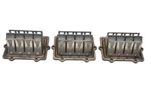 01 Polaris Virage TXi Reed Valves