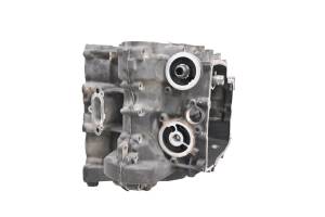 16 Triumph Tiger 800 XCx Crankcase Center Crank Case - Image 10