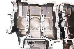 16 Triumph Tiger 800 XCx Crankcase Center Crank Case - Image 20