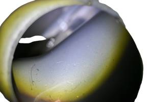 Honda - 03 Honda XR650L Gas Tank & Fuel Petcock - Image 14