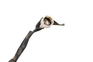 Yamaha - 16 Yamaha Kodiak 700 4x4 Thumb Throttle YFM700K - Image 8