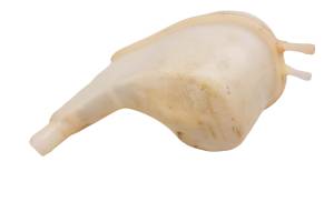 Sea-Doo - 14 Sea-Doo GTX 215 Limited Coolant Overflow Radiator Bottle - Image 9