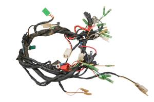 Polaris - 05 Polaris Predator 90 Wire Harness Electrical Wiring - Image 1