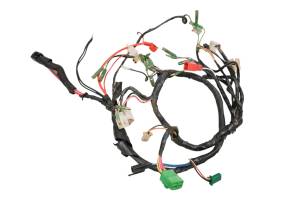 Polaris - 06 Polaris Predator 90 Wire Harness Electrical Wiring - Image 1