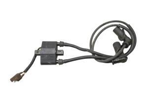 Polaris - 05 Polaris Sportsman MV7 Ignition Coil - Image 1