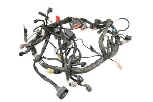 Kawasaki - 20 Kawasaki Versys-X 300 Wire Harness Electrical Wiring KLE300BLFA - Image 2