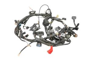 Kawasaki - 20 Kawasaki Versys-X 300 Wire Harness Electrical Wiring KLE300BLFA - Image 4