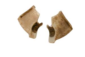 Honda - 04 Honda TRX450R Front Brake Rotors Guards Left & Right - Image 2