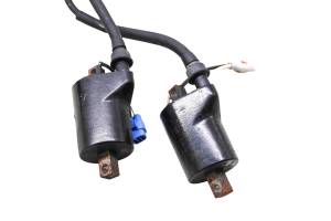 Polaris - 16 Polaris 800 Rush Pro S Ignition Coils 137" - Image 4