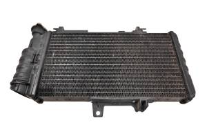 BMW - 08 BMW F800ST Radiator & Hoses - Image 2