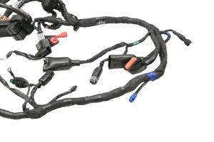 Royal Enfield - 23 Royal Enfield Himalayan Scram 411 Wire Harness Electrical Wiring - Image 3