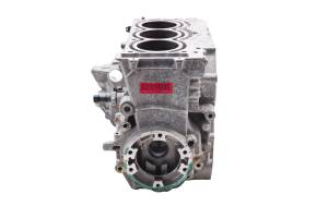 Sea-Doo - 17 Sea-Doo Spark Trixx 900 HO ACE Crankcase Center Crank Case & Cylinders - Image 4