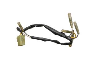 15 Hyosung GT250R Tail Light Harness