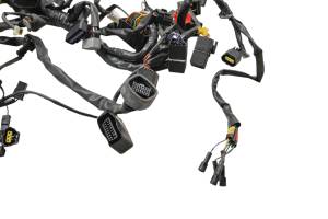 07 Triumph Speed Triple Wire Harness Electrical Wiring - Image 2