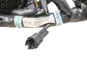 07 Triumph Speed Triple Wire Harness Electrical Wiring - Image 6