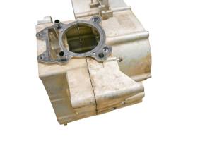 Can-Am - 07 Can-Am DS250 2x4 Crankcase Center Crank Case - Image 2