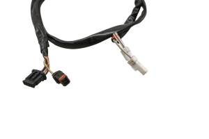 16 Harley-Davidson Electra Glide Ultra Classic Turn Signal Rear Wire Harness FLHTCU - Image 3