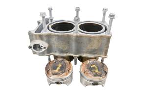 19 Arctic Cat Wildcat Sport LTD EPS Cylinders & Pistons Textron