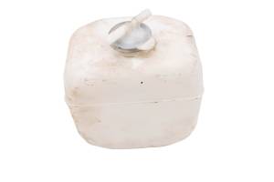 17 Kubota RTV X1140 Coolant Overflow Radiator Bottle