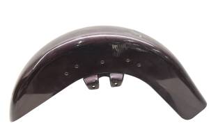 06 Harley-Davidson FLHX Street Glide Front Fender - Image 2