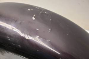 06 Harley-Davidson FLHX Street Glide Front Fender - Image 7