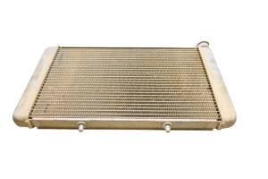 21 Yanmar Longhorn 700 Radiator YU700GMP - Image 1