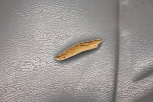 Kubota - 18 Kubota RTV-X1140W Passenger Side Seat Bottom Cushion - Image 3